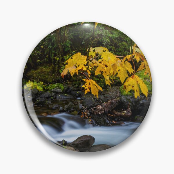 Item preview, Framed by Gold designed and sold by DawsonImages.