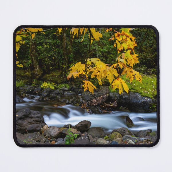 Item preview, Framed by Gold designed and sold by DawsonImages.