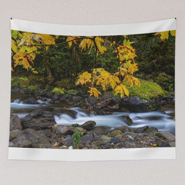 Item preview, Framed by Gold designed and sold by DawsonImages.
