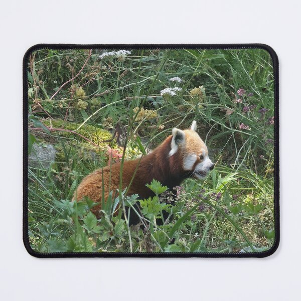 Item preview, Red panda designed and sold by littlegreennote.