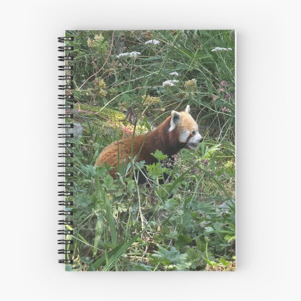 Item preview, Red panda designed and sold by littlegreennote.