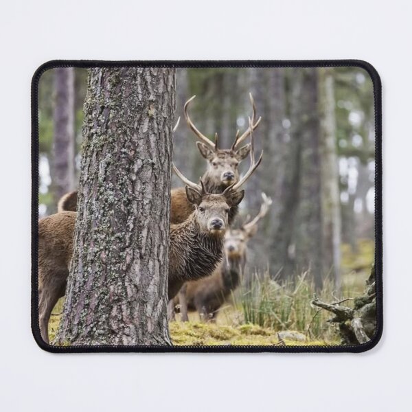 Item preview, Tranquil Ski Doo bForest Antlers designed and sold by Blosslandscape.