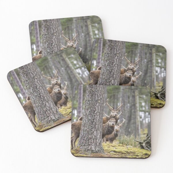 Item preview, Tranquil Ski Doo bForest Antlers designed and sold by Blosslandscape.