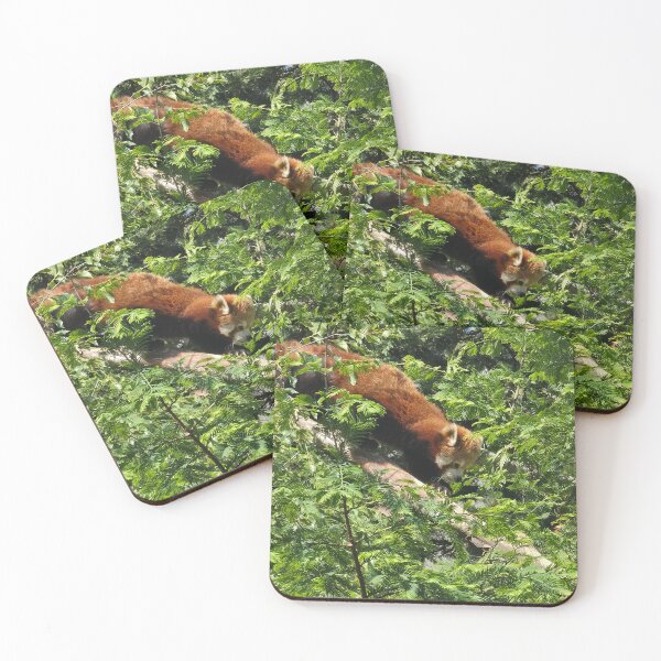 Item preview, red panda designed and sold by littlegreennote.