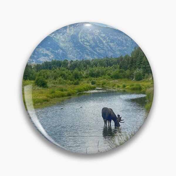 Item preview, A moose by Grand Teton designed and sold by mtc616.