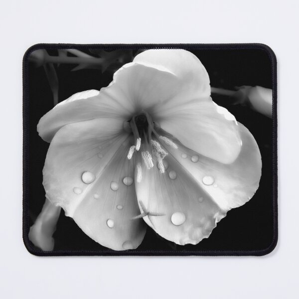 Item preview, Emergence I designed and sold by BLACK SNAKE WHITE DOVE FINE ART PHOTOGRAPHY .