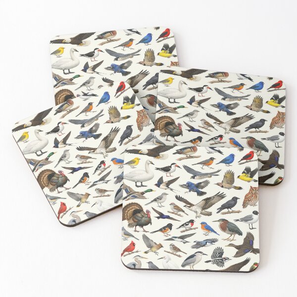 Item preview, Native Birds of Maryland Retro Style Identification Chart designed and sold by kakarikihill.