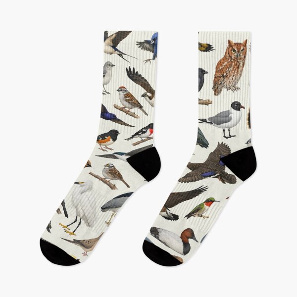Item preview, Native Birds of Maryland Retro Style Identification Chart designed and sold by kakarikihill.