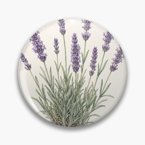 Item preview, Wild Lavender Botanical Illustration | Vintage Scientific Watercolor Wall Art designed and sold by PresMatPlays.