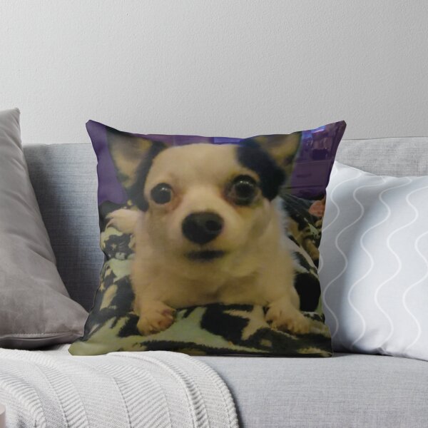 Item preview, Iggy is a cute chihuahua  designed and sold by ZayRenaAlesta.