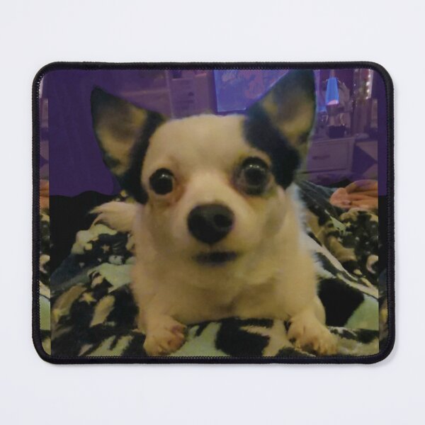 Item preview, Iggy is a cute chihuahua  designed and sold by ZayRenaAlesta.