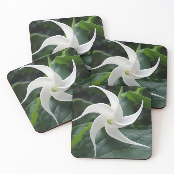 Item preview, Jimson Weed Flower designed and sold by Vicky Brago-Mitchell®.