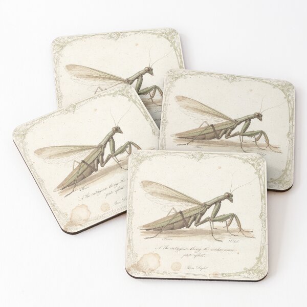 Item preview, Vintage Praying Mantis Specimen Natural History Plate designed and sold by PictorialWhimsy.