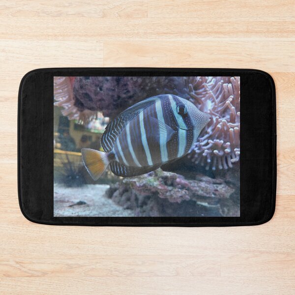 Item preview, Blue Striped Tropical Reef Fish  Vibrant Saltwater Aquarium Photography designed and sold by pbchan.