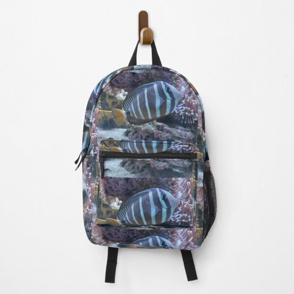 Item preview, Blue Striped Tropical Reef Fish Vibrant Saltwater Aquarium Photography designed and sold by pbchan.