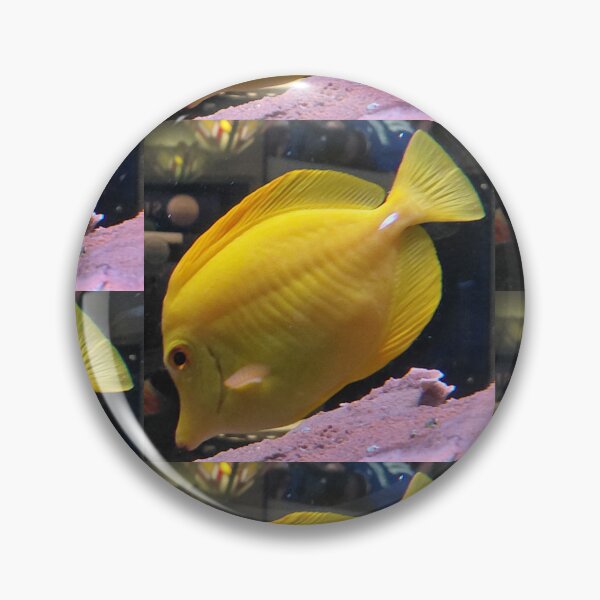 Item preview, Golden Yellow Tang | Tropical Saltwater Fish Photography designed and sold by pbchan.