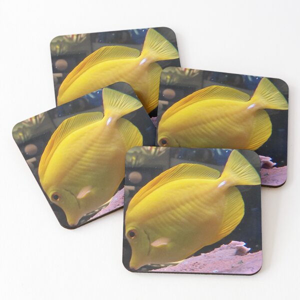Item preview, Golden Yellow Tang | Tropical Saltwater Fish Photography designed and sold by pbchan.