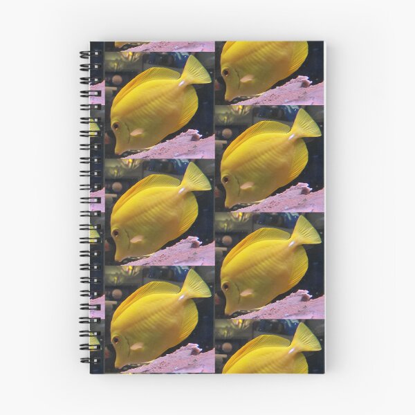 Item preview, Cirujano amarillo dorado | Fotografía de peces tropicales de agua salada designed and sold by pbchan.