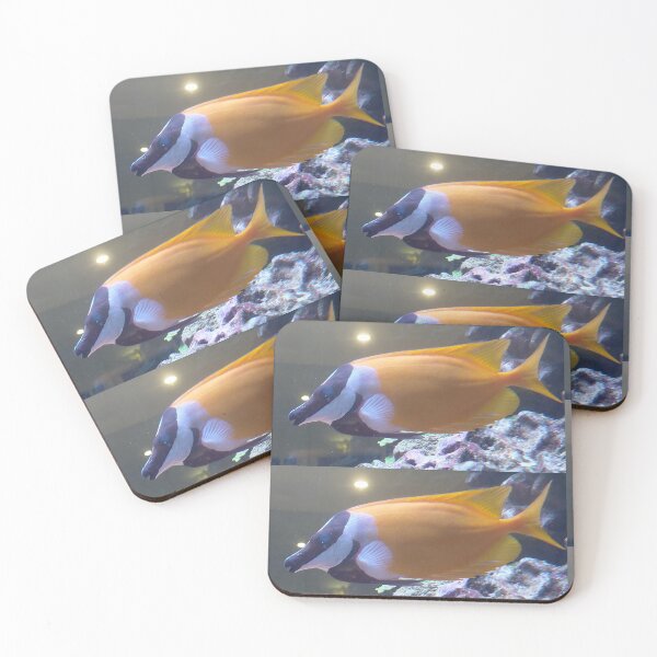 Artikelvorschau, Fuchsgesicht-Kaninchenfisch, tropischer Rifffisch, Unterwasserfotografie entworfen und verkauft von pbchan.
