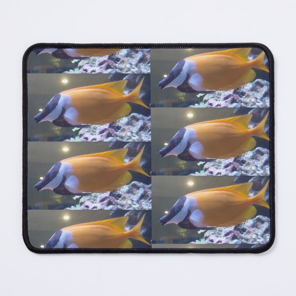 Item preview, Foxface Rabbitfish Tropical Reef Fish Underwater Photography designed and sold by pbchan.