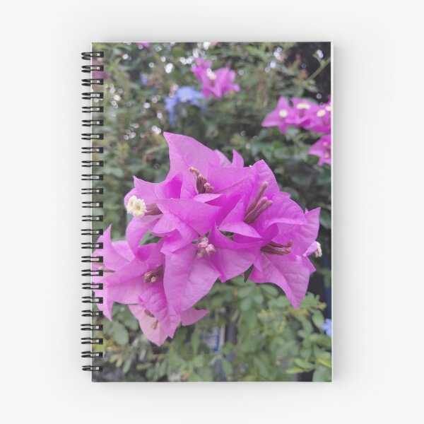 Artikelvorschau, Lila Bougainvillea-Blüten entworfen und verkauft von pbchan.
