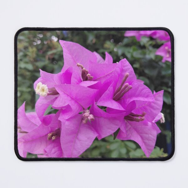 Item preview, Purple Bougainvillea Flowers designed and sold by pbchan.