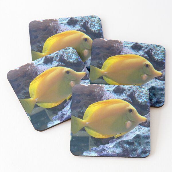 Item preview, Golden Yellow Tang  Tropical Saltwater Fish Photography designed and sold by pbchan.