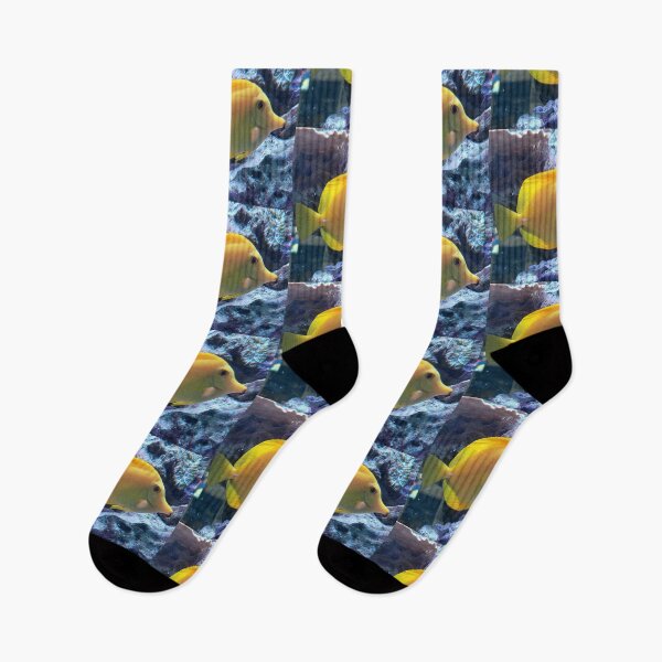 Item preview, Golden Yellow Tang  Tropical Saltwater Fish Photography designed and sold by pbchan.