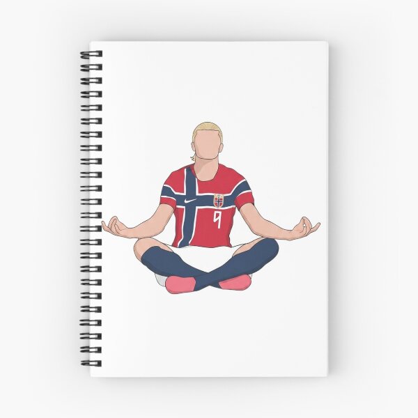 Item preview, Vector Art Celebration Erling Haaland  designed and sold by WellkamStudio.