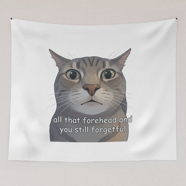 Item preview, All That Forehead and You Still Forgetful Funny Cat Meme designed and sold by SoftPawsAtelier.