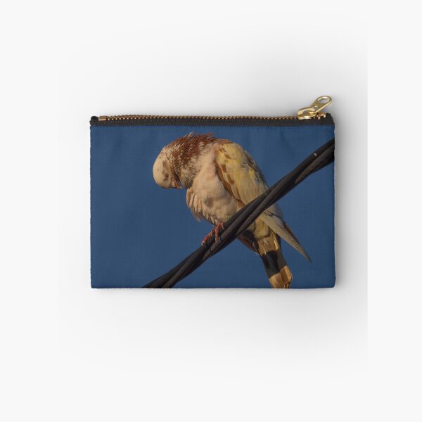 Item preview, Sleepy Pigeon  designed and sold by Ralph Goldsmith.