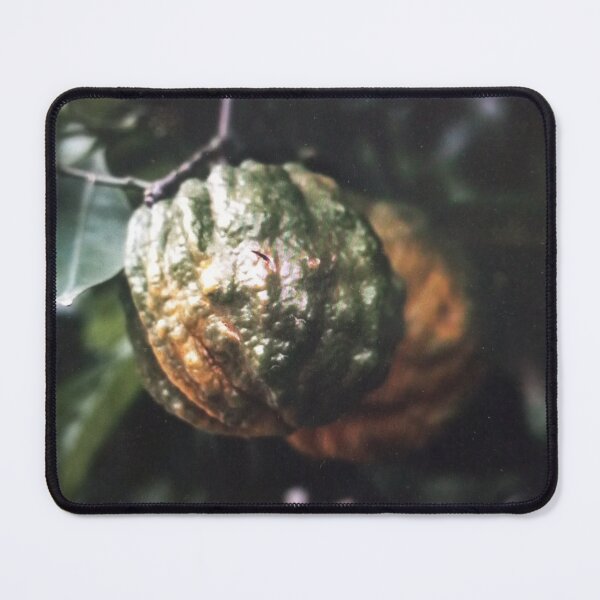 Item preview, Moody Citrus on a Branch designed and sold by mviaisay.
