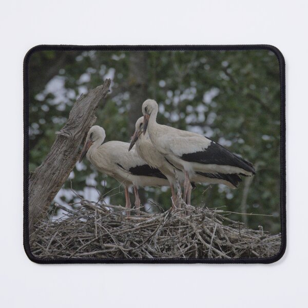 Item preview, Frozen reality - Beautiful nature 925 designed and sold by deep-sea-birds.