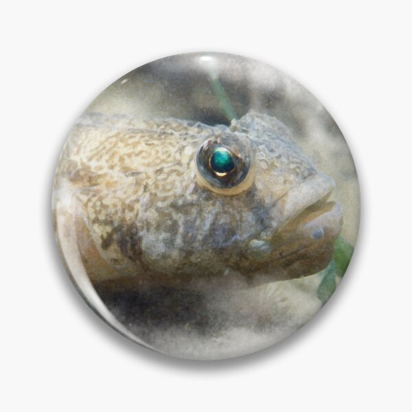 Item preview, bullhead on the sand in watercolor designed and sold by FotoMahieu.