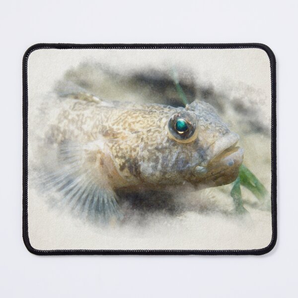 Item preview, bullhead on the sand in watercolor designed and sold by FotoMahieu.