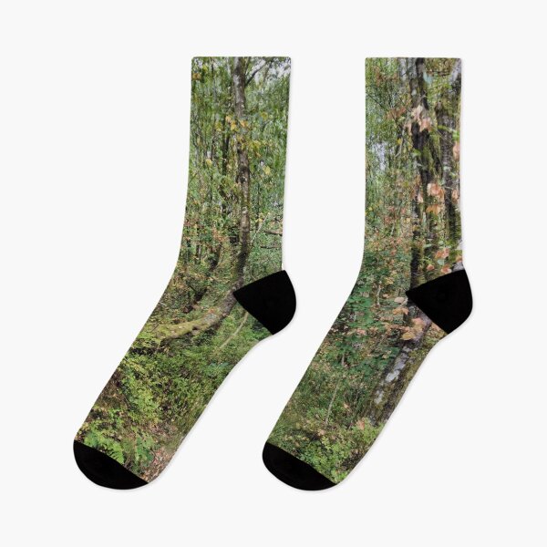Aperçu de l'œuvre forêt créée et vendue par KathleenDawson.