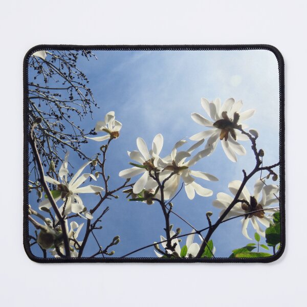 Item preview, Star Magnolia designed and sold by bravoalpha.