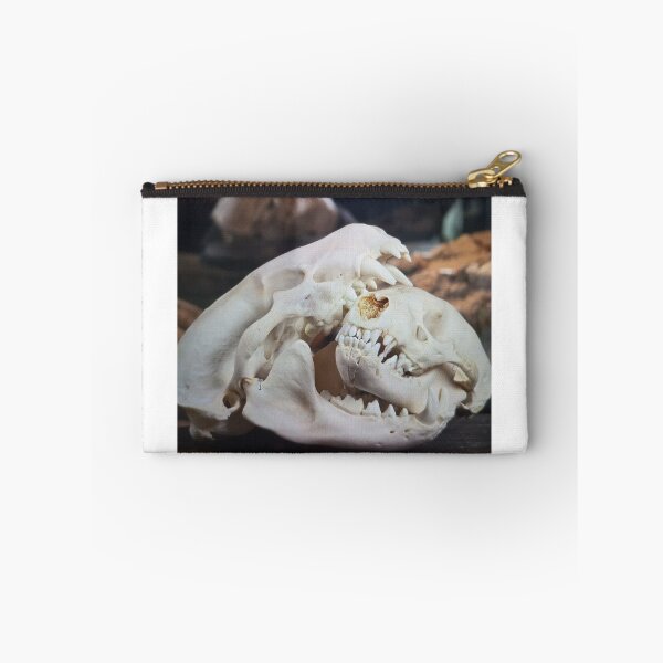 Item preview, Animal Skull Display designed and sold by pfijland.
