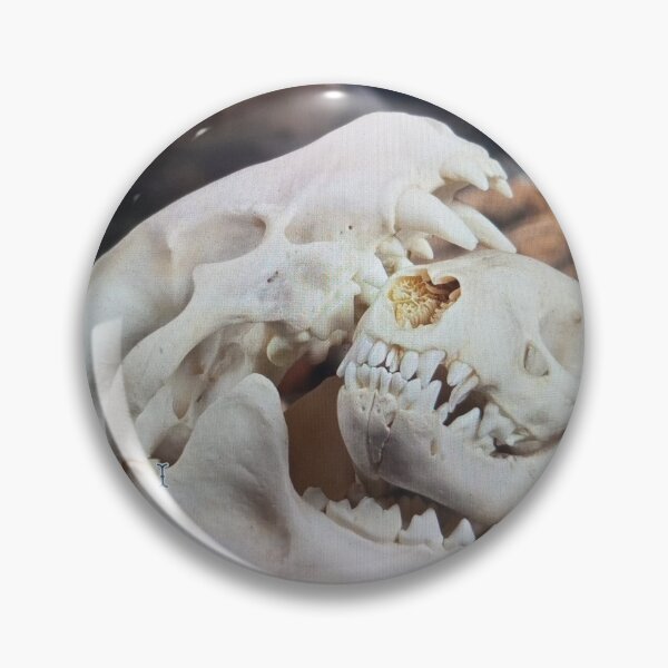 Item preview, Animal Skull Display designed and sold by pfijland.