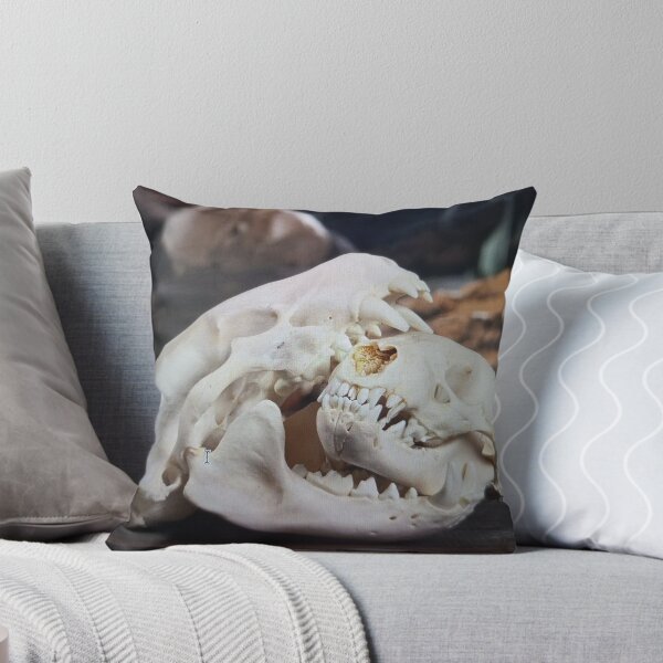 Item preview, Animal Skull Display designed and sold by pfijland.