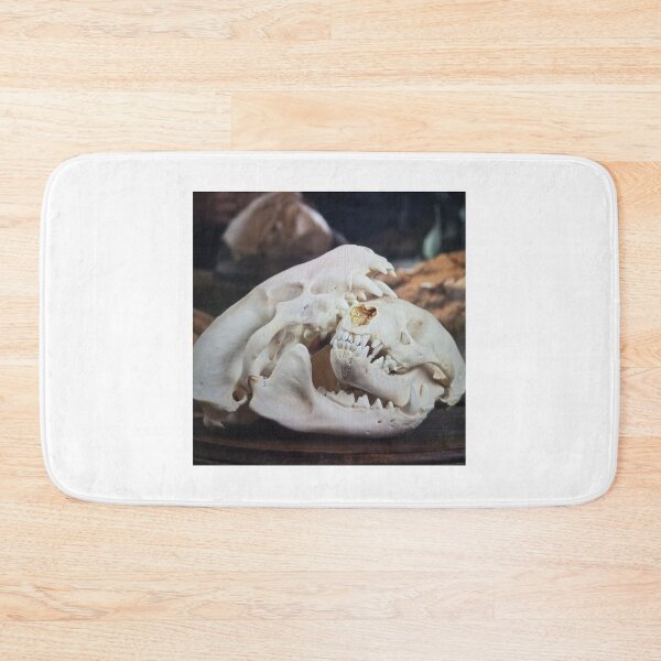 Item preview, Animal Skull Display designed and sold by pfijland.