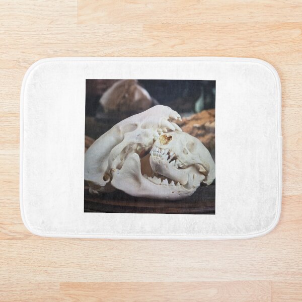 Item preview, Animal Skull Display designed and sold by pfijland.