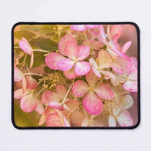 Item preview, Pink Blossom Collection No.11 – Hydrangea Paniculata Fine Art Floral Portrait designed and sold by ViolafleurViolett.