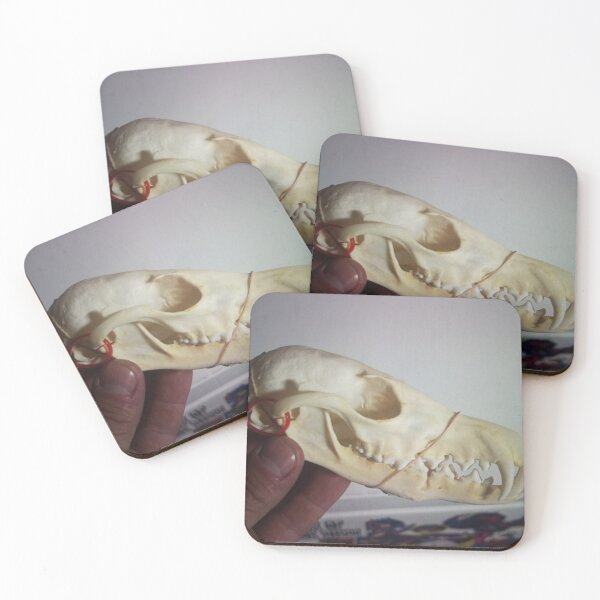 Item preview, Hand Holding Animal Skull designed and sold by pfijland.