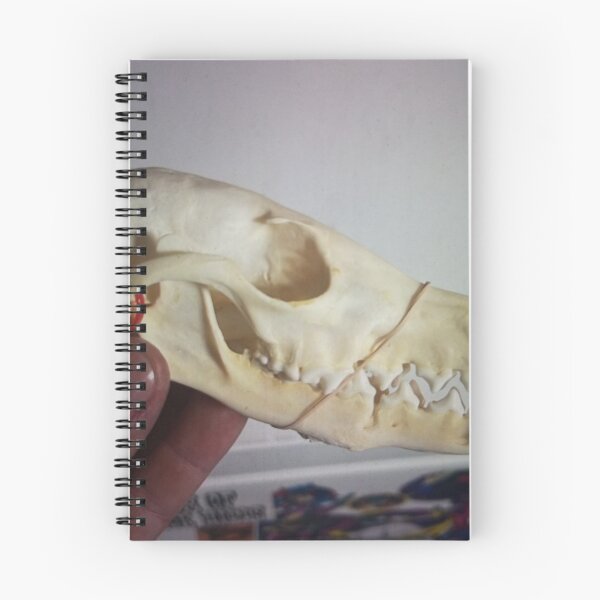 Item preview, Hand Holding Animal Skull designed and sold by pfijland.