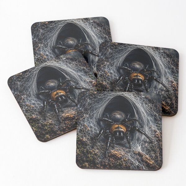 Item preview, New Zealand Black Tunnel Web Spider | Gothic Cinematic Wildlife Art | Dark Nature Wall Art | Arachnid designed and sold by NocturnalNook.