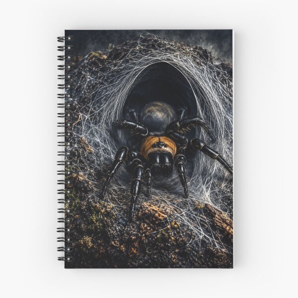 Item preview, New Zealand Black Tunnel Web Spider | Gothic Cinematic Wildlife Art | Dark Nature Wall Art | Arachnid designed and sold by NocturnalNook.