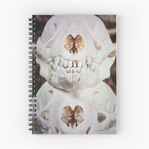 Item preview, Animal Skulls Display designed and sold by pfijland.