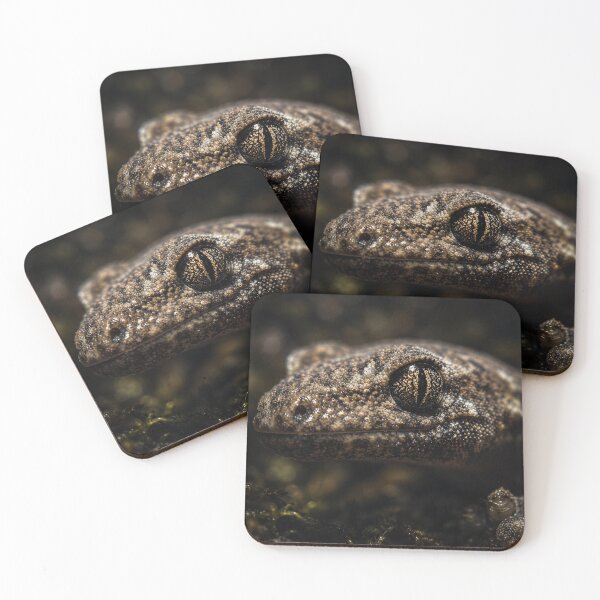 Item preview, Baby New Zealand Brown Gecko in Moonlit Forest | Cinematic Native Wildlife designed and sold by NocturnalNook.