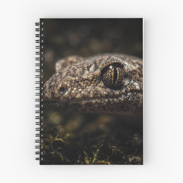 Item preview, Baby New Zealand Brown Gecko in Moonlit Forest | Cinematic Native Wildlife designed and sold by NocturnalNook.